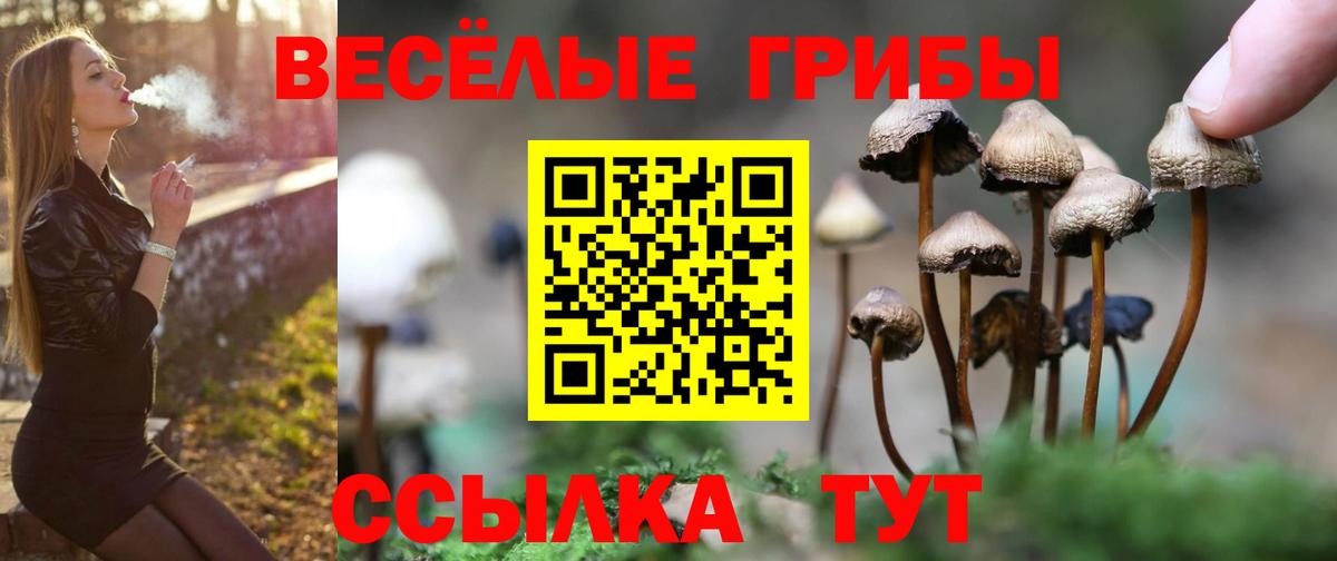 Галлюциногенные грибы MAGIC MUSHROOMS  Вход с VPN  купить наркотики цена  Бор 